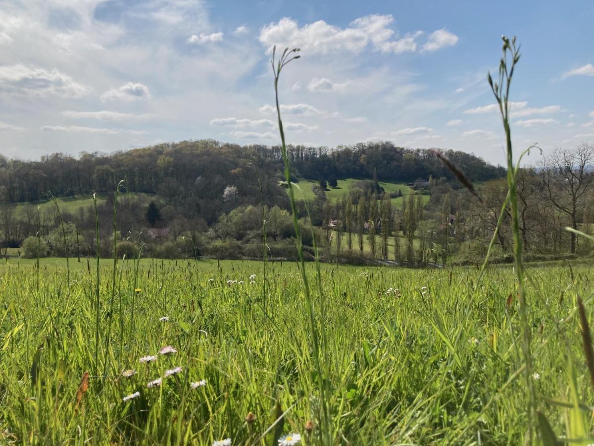 Domaine Labouroume