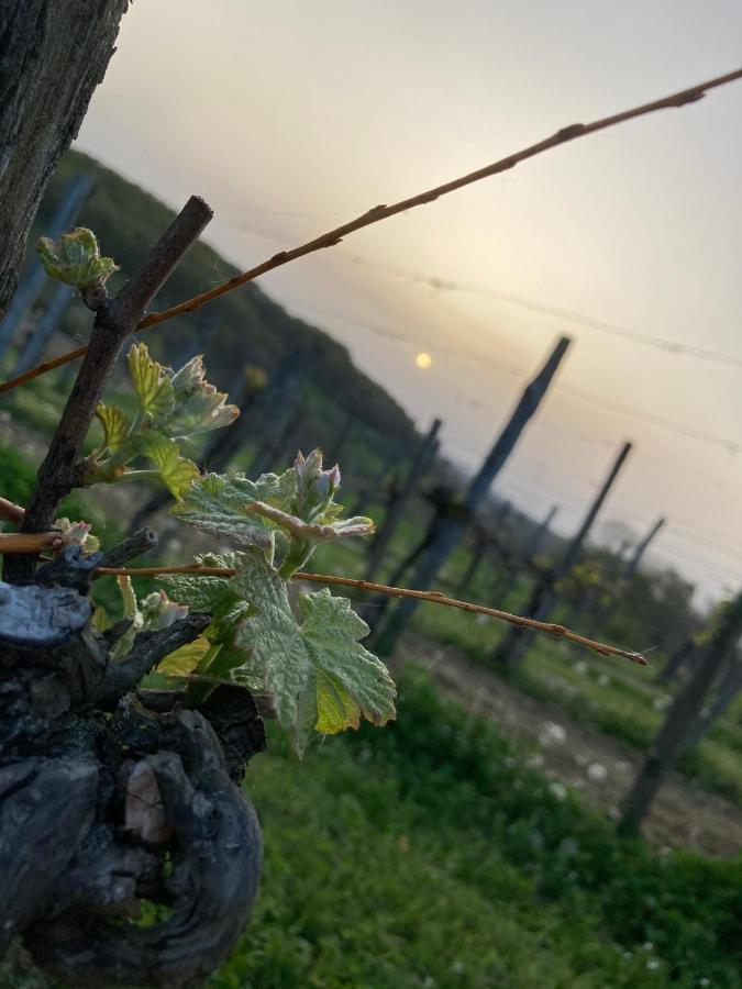 Domaine Labouroume Gasthuis